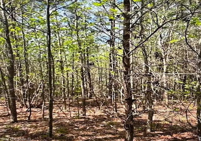 2nd image of 0 Tate Rd, Reidsville, NC 27320 | MLS# 1230186