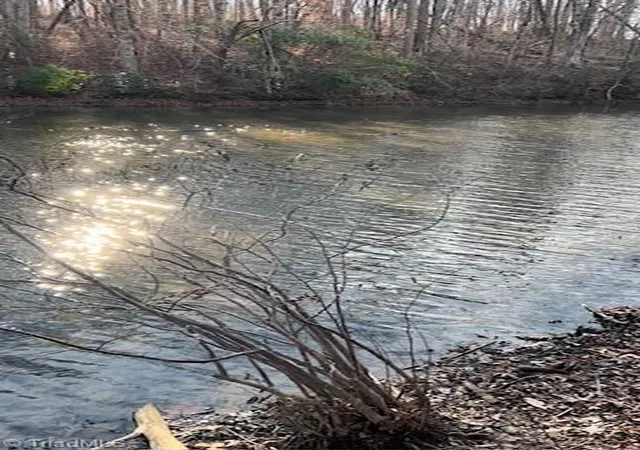 2nd image of 1075 Acres Neals Store Rd, Roxboro, NC 27574 | MLS# 1230793