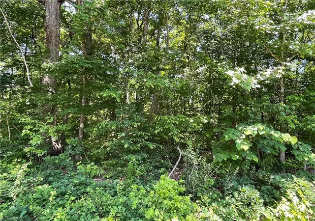 1st image of 0000 1 Shady Ln, Burlington, NC 27217 | MLS# 1230767