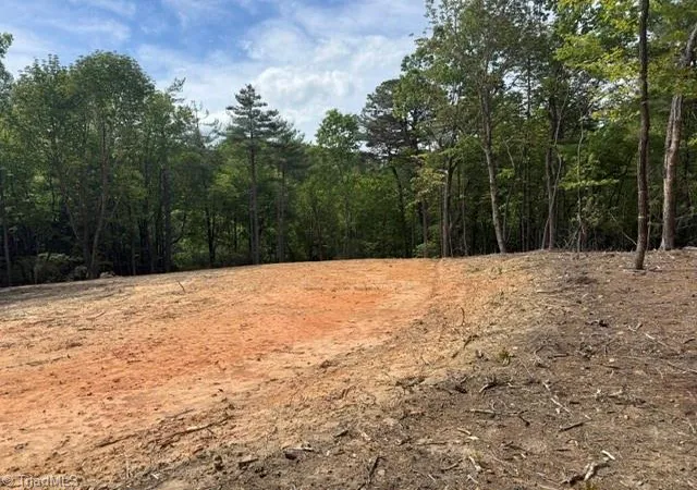 Homes for sale in Mc Grady, NC | 00 Chestnut Mountain Farms Pkwy, Mc Grady, NC 28649 | MLS# 1219904