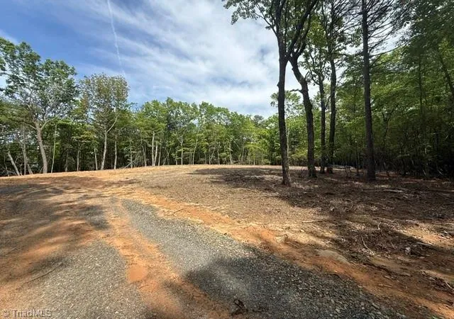 Homes for sale in Mc Grady, NC | 00 Chestnut Mountain Farms Pkwy, Mc Grady, NC 28649 | MLS# 1219904