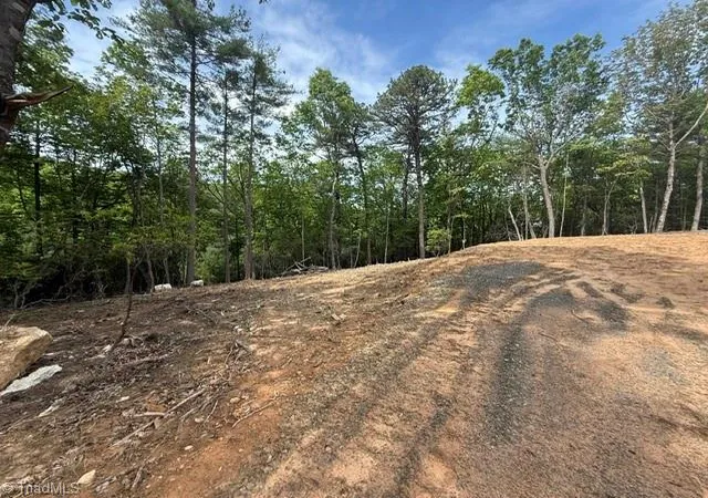 Homes for sale in Mc Grady, NC | 00 Chestnut Mountain Farms Pkwy, Mc Grady, NC 28649 | MLS# 1219904