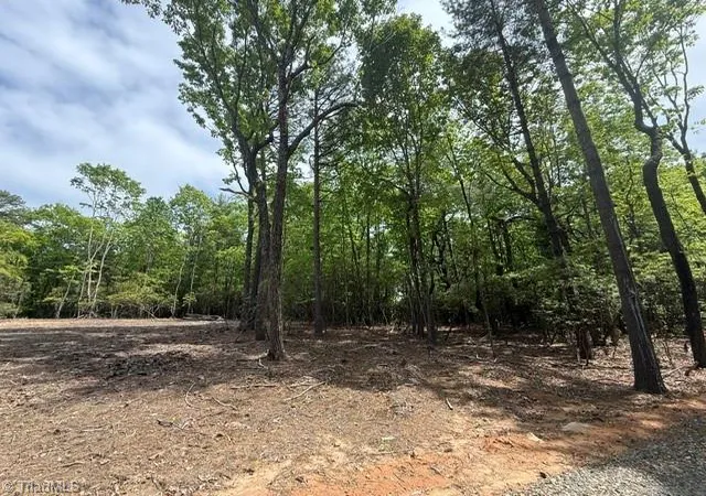 Homes for sale in Mc Grady, NC | 00 Chestnut Mountain Farms Pkwy, Mc Grady, NC 28649 | MLS# 1219904