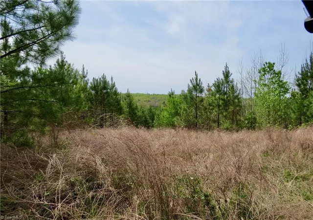 Photo 1 of Land for sale at 0 Vernon Rd, Reidsville, NC 27320 | MLS# 1215354 | Listing updated on 2026-04-21