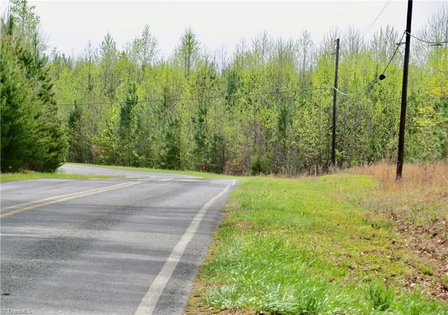 Photo 3 of Land for sale at 0 Vernon Rd, Reidsville, NC 27320 | MLS# 1215354 | Listing updated on 2026-04-21