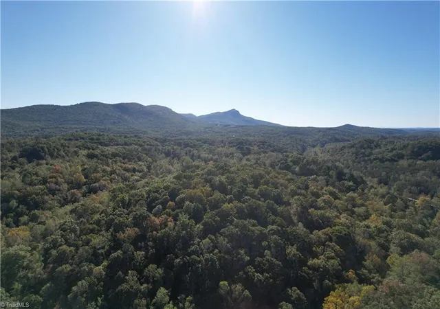 Photo 3 of Land for sale at 01 Seven Is Rd, Danbury, NC 27016 | MLS# 1229994 | Listing updated on 2026-08-06
