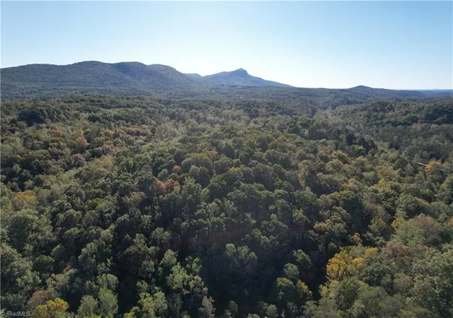 Photo 3 of Land for sale at 01 Seven Is Rd, Danbury, NC 27016 | MLS# 1229994 | Listing updated on 2026-08-06