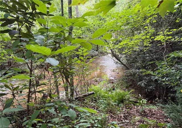 3rd image of 0 Bryant Rd, Mount Airy, NC 27030 | MLS# 1231282