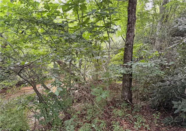 4th image of 0 Bryant Rd, Mount Airy, NC 27030 | MLS# 1231282