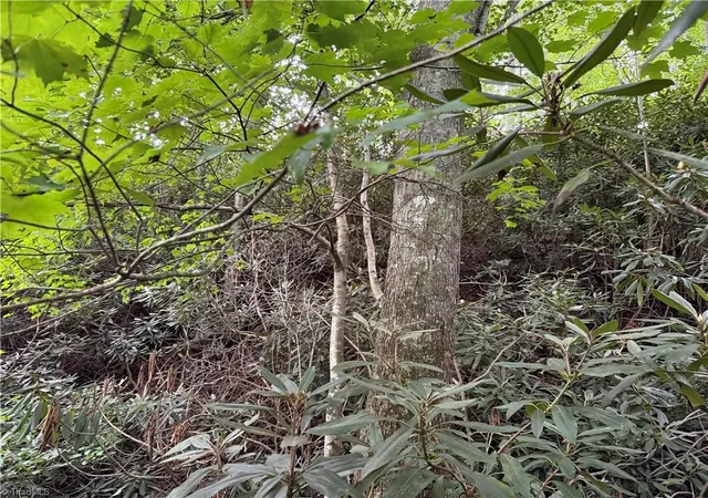 5th image of 0 Bryant Rd, Mount Airy, NC 27030 | MLS# 1231282