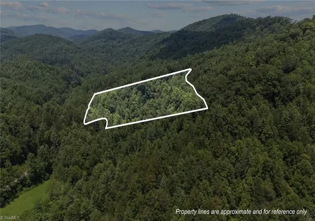 3rd image of 1296 Sheets Gap Rd, Millers Creek, NC 28651 | MLS# 1225238