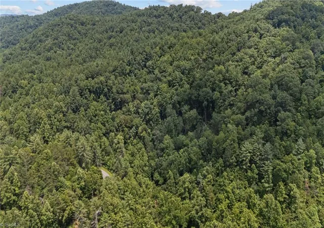 4th image of 1296 Sheets Gap Rd, Millers Creek, NC 28651 | MLS# 1225238