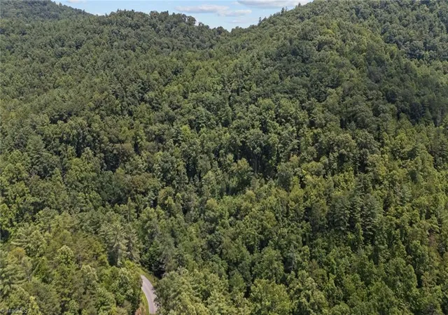 5th image of 1296 Sheets Gap Rd, Millers Creek, NC 28651 | MLS# 1225238