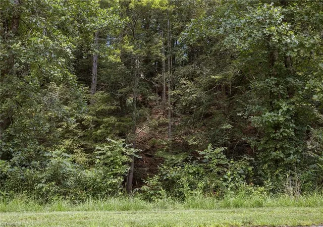 8th image of 1296 Sheets Gap Rd, Millers Creek, NC 28651 | MLS# 1225238