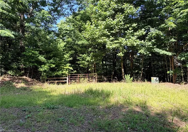 Homes for sale in Purlear, NC | Lots 171 & 172b Blue Rock Rd, Purlear, NC 28665 | MLS# 1226571