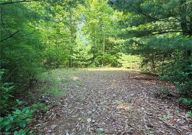 Homes for sale in Purlear, NC | Lots 171 & 172b Blue Rock Rd, Purlear, NC 28665 | MLS# 1226571