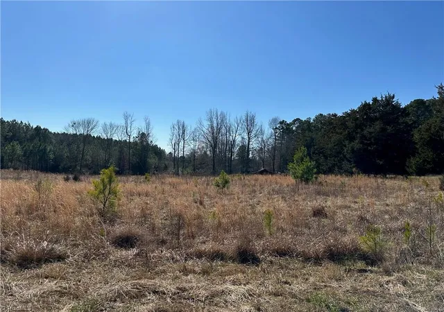 4th image of 3005 Us Hwy 421 S, Siler City, NC 27344 | MLS# 1135633