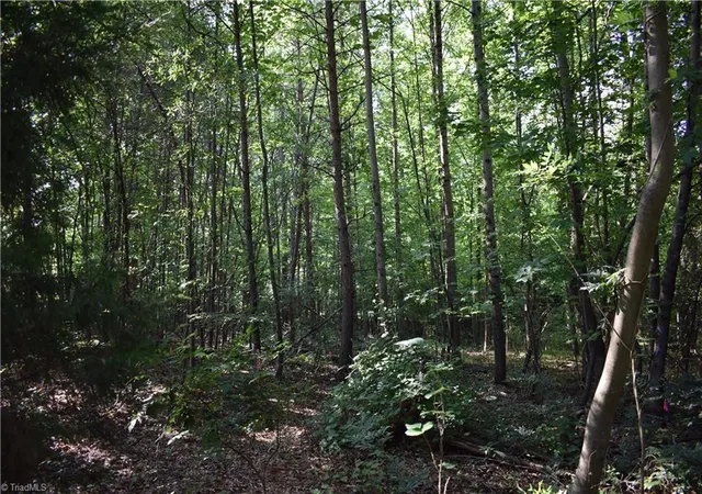 6th image of 1380 Motor Rd, Winston Salem, NC 27105 | MLS# 1227380