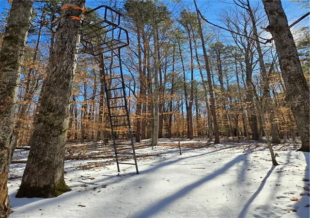 15th image of 0 Beechwood Dr, Asheboro, NC 27205 | MLS# 1209617