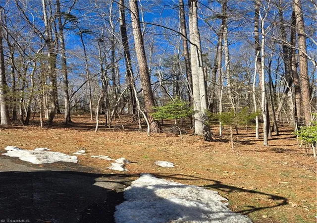 3rd image of 0 Beechwood Dr, Asheboro, NC 27205 | MLS# 1209617