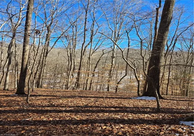 4th image of 0 Beechwood Dr, Asheboro, NC 27205 | MLS# 1209617
