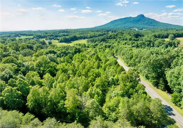 Homes for sale in Pinnacle, NC | Tbd Flint Hill Ln, Pinnacle, NC 27043 | MLS# 1223283