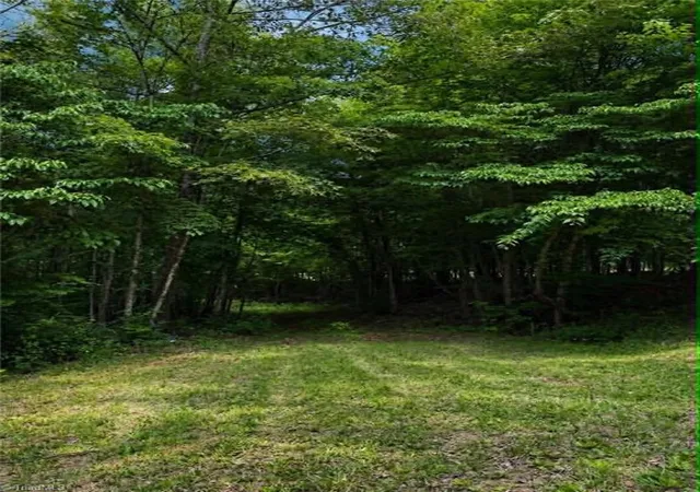 Homes for sale in Pinnacle, NC | Tbd Flint Hill Ln, Pinnacle, NC 27043 | MLS# 1223283