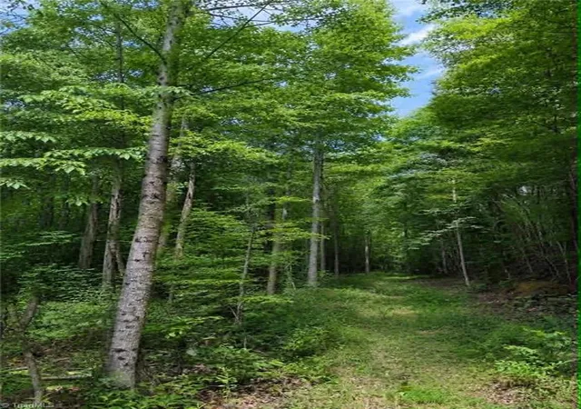 Homes for sale in Pinnacle, NC | Tbd Flint Hill Ln, Pinnacle, NC 27043 | MLS# 1223283