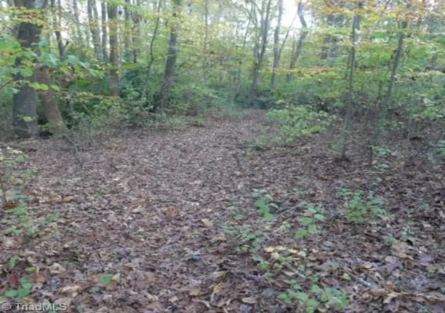 1st image of 187 Caravan Ln, Mocksville, NC 27028 | MLS# 1162675