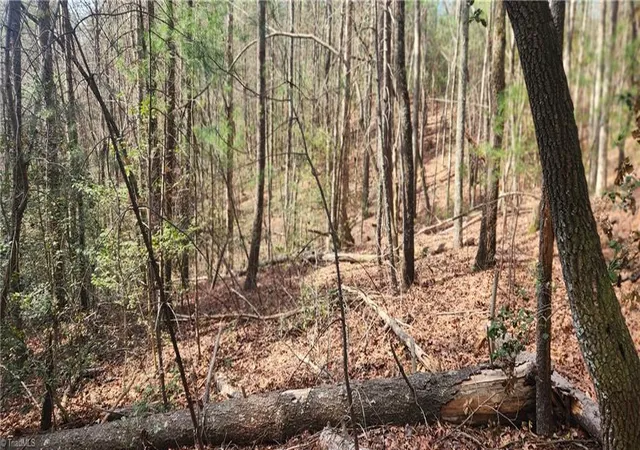 Photo 1 of Land for sale at Tbd Cane Crk Church Rd, Mc Grady, NC 28649 | MLS# 1216403 | Listing updated on 2026-04-16