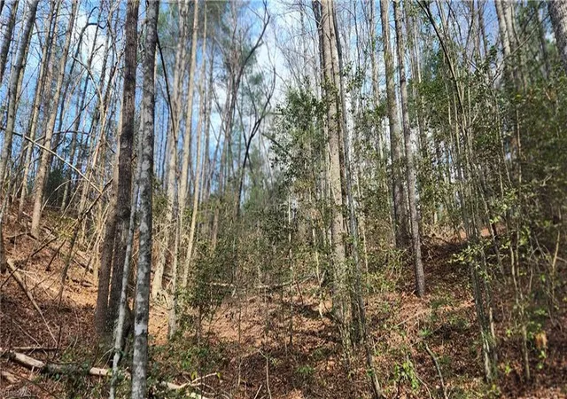 Photo 3 of Land for sale at Tbd Cane Crk Church Rd, Mc Grady, NC 28649 | MLS# 1216403 | Listing updated on 2026-04-16