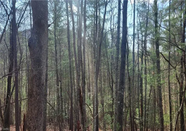 Photo 5 of Land for sale at Tbd Cane Crk Church Rd, Mc Grady, NC 28649 | MLS# 1216403 | Listing updated on 2026-04-16