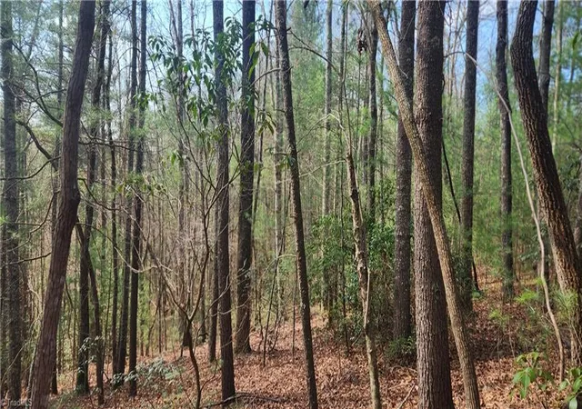 Photo 6 of Land for sale at Tbd Cane Crk Church Rd, Mc Grady, NC 28649 | MLS# 1216403 | Listing updated on 2026-04-16