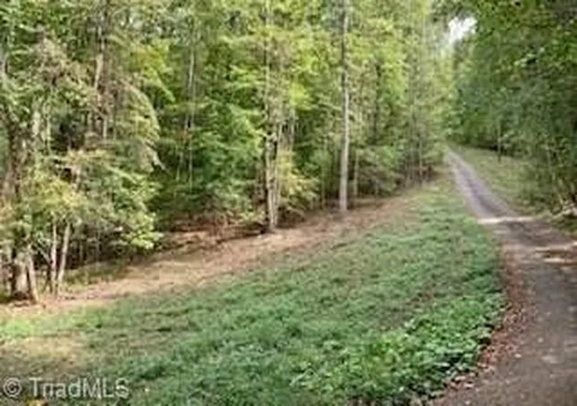Homes for sale in Crumpler, NC | Tbd Walnut Hills Cir, Crumpler, NC 28617 | MLS# 1197165
