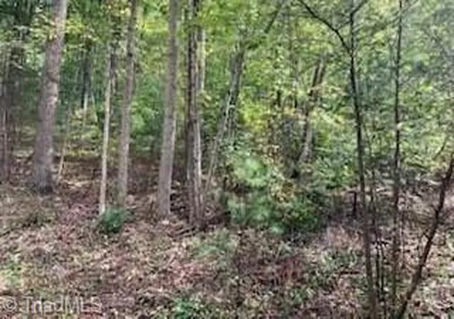 Homes for sale in Crumpler, NC | Tbd Walnut Hills Cir, Crumpler, NC 28617 | MLS# 1197165