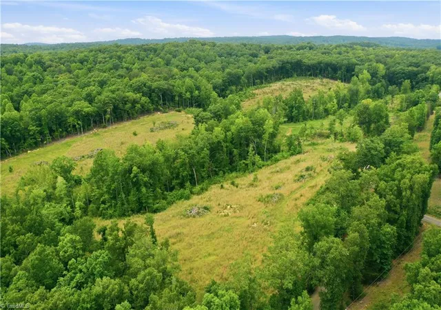 Homes for sale in Snow Camp, NC | 00 Cane Creek Rd, Snow Camp, NC 27349 | MLS# 1226825