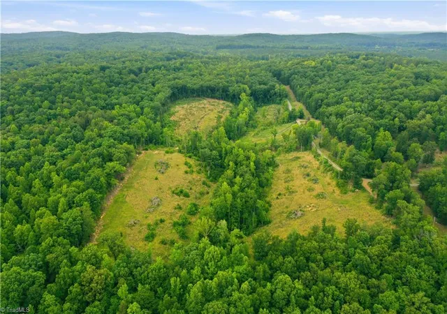 Homes for sale in Snow Camp, NC | 00 Cane Creek Rd, Snow Camp, NC 27349 | MLS# 1226825