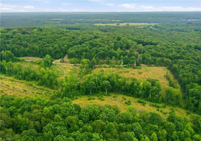 Homes for sale in Snow Camp, NC | 00 Cane Creek Rd, Snow Camp, NC 27349 | MLS# 1226825