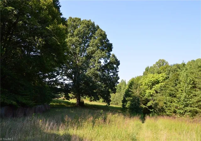 Photo 3 of Land for sale at 338 278 Hancock Rd, Reidsville, NC 27320 | MLS# 1233604 | Listing updated on 2026-08-27