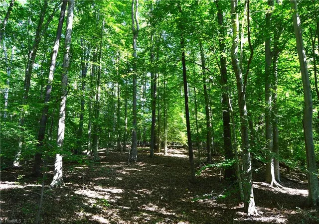 Photo 4 of House for sale at 338-278 Hancock Rd, Reidsville, NC 27320 | MLS# 1233604 | Listing updated on 2026-08-27