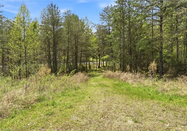 Homes for sale in Pinnacle, NC | 1355 Spainhour Mill Rd, Pinnacle, NC 27043 | MLS# 1216175