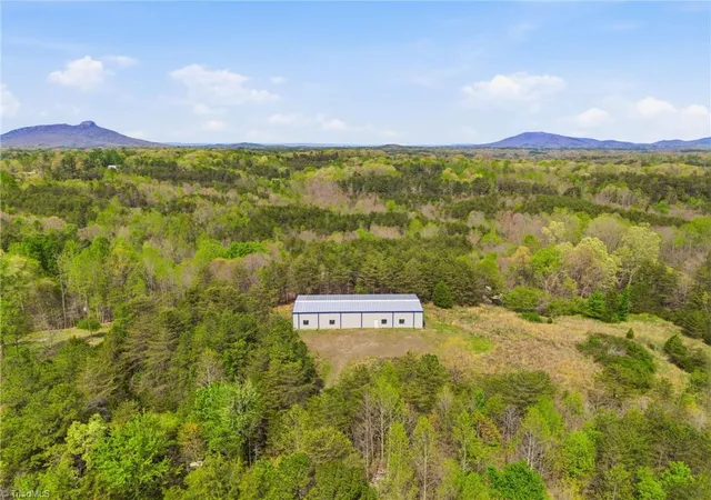 Homes for sale in Pinnacle, NC | 1355 Spainhour Mill Rd, Pinnacle, NC 27043 | MLS# 1216175