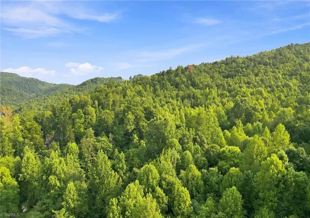 Photo 4 of Land for sale at Tbd Russell Gap Rd, Moravian Falls, NC 28654 | MLS# 1230361 | Listing updated on 2026-08-06