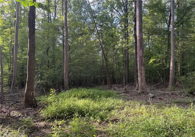 Photo 2 of Land for sale at 7149 Nature Rd, Liberty, NC 27298 | MLS# 1234055 | Listing updated on 2026-08-31