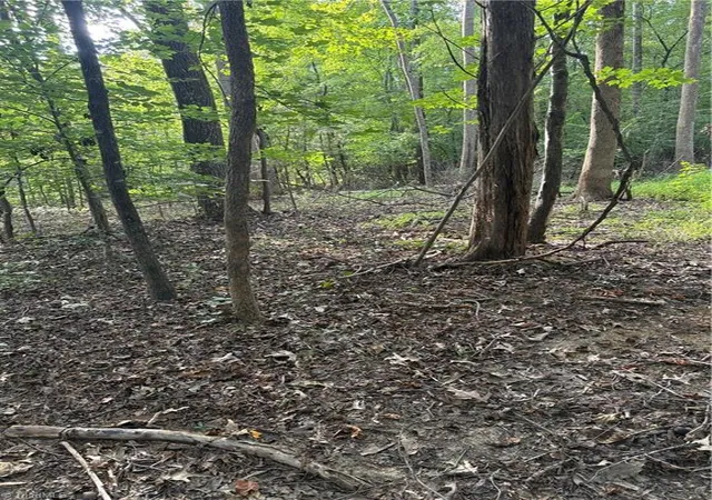 Photo 3 of Land for sale at 7149 Nature Rd, Liberty, NC 27298 | MLS# 1234055 | Listing updated on 2026-08-31