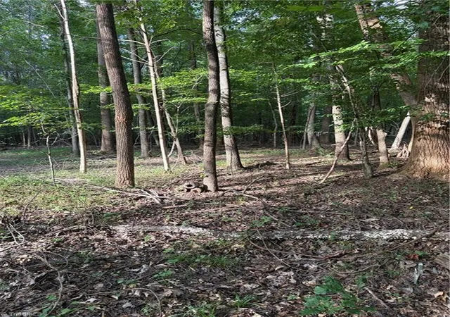 Photo 3 of Land for sale at 7149 Nature Rd, Liberty, NC 27298 | MLS# 1234055 | Listing updated on 2026-08-31