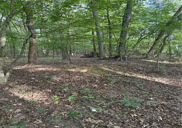 Photo 4 of Land for sale at 7149 Nature Rd, Liberty, NC 27298 | MLS# 1234055 | Listing updated on 2026-08-31