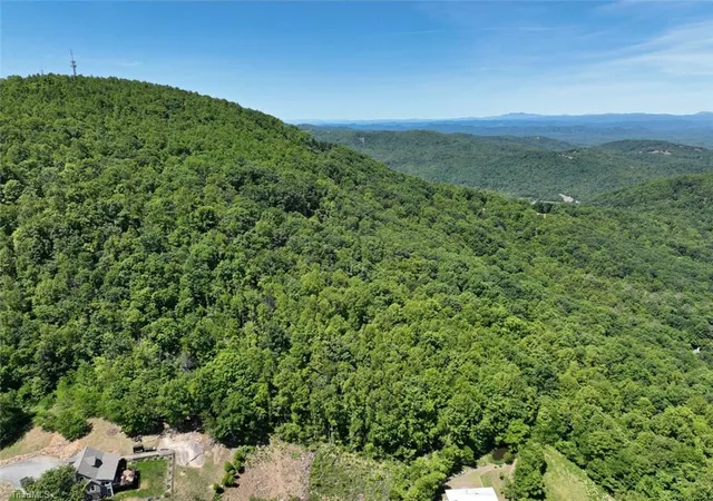 44th image of 535 Obed Heights Dr, Moravian Falls, NC 28654 | MLS# 1219566