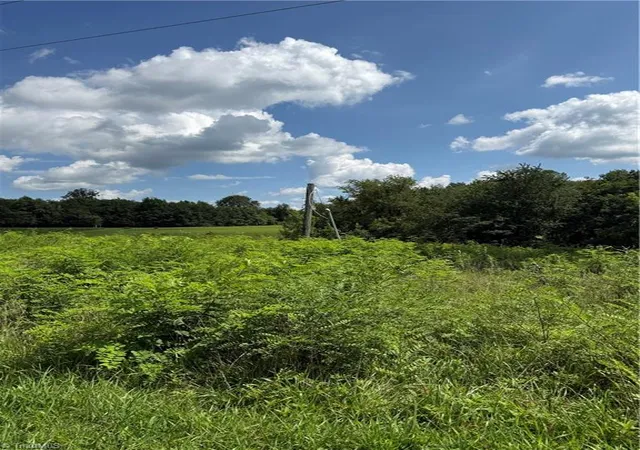 2nd image of 00 Mccarther Rd, Mount Airy, NC 27030 | MLS# 1230171