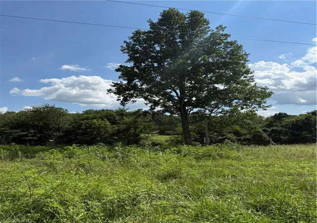 3rd image of 00 Mccarther Rd, Mount Airy, NC 27030 | MLS# 1230171